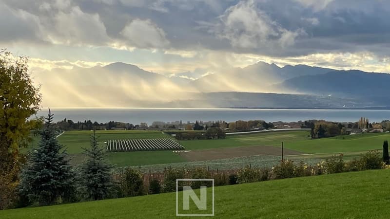Villa individuelle de 9 pièces, 248 m2 habitables sur une propriété de plus de 4'000 m2 avec magnifique vue sur le lac (3)