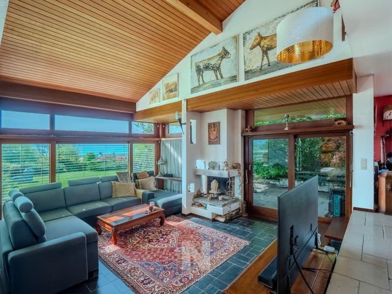 Villa individuelle de 9 pièces, 248 m2 habitables sur une propriété de plus de 4'000 m2 avec magnifique vue sur le lac (6)