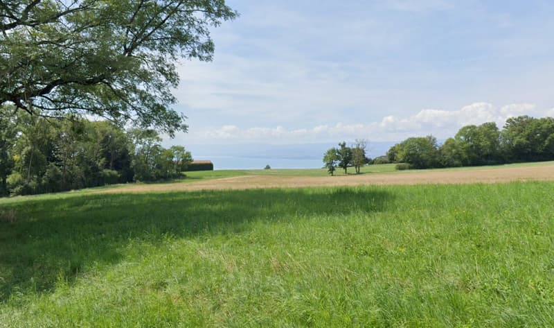 Villa individuelle avec vue sur le lac : hauteurs de Lutry (4)
