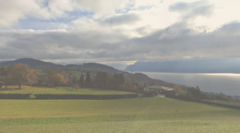 Villa individuelle avec vue sur le lac : hauteurs de Lutry (2)