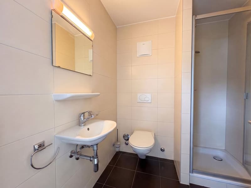 Appartement à vendre à Lausanne - attique de 4,5 pièces, 127 m², grand balcon (12)