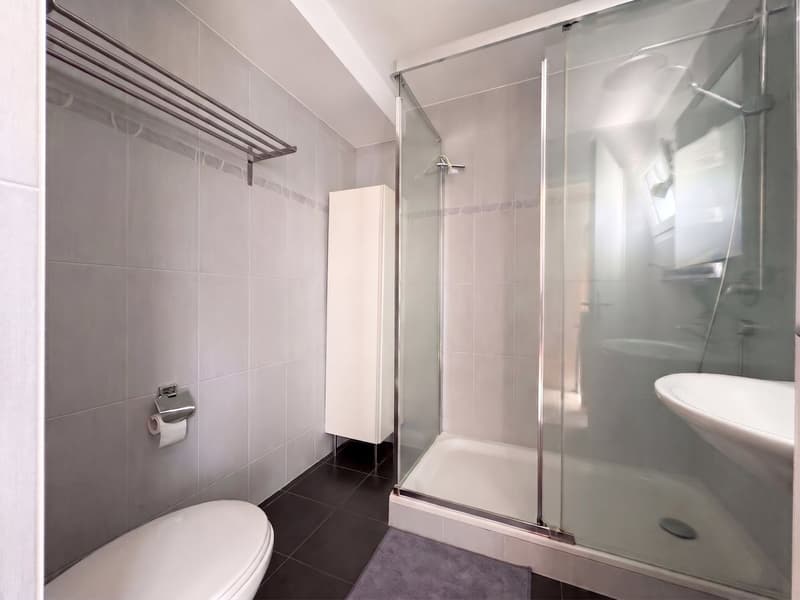 Appartement à vendre à Lausanne - attique de 4,5 pièces, 127 m², grand balcon (10)