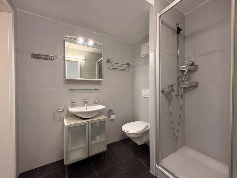Appartement à vendre à Lausanne - attique de 4,5 pièces, 127 m², grand balcon (6)