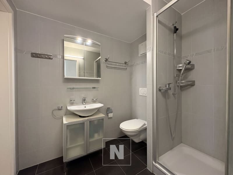 Appartement en attique de 4,5 pièces à vendre à Lausanne - 127 m², grand balcon (6)