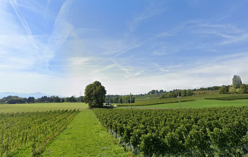 Vente maison vaudoise 8 pièces, environ 300 m2, proche de Morges, terrain d'environ 3000 m2 (10)
