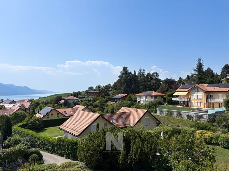 Maison de 5.5 pièces à vendre à Blonay - 150 m2, belle vue (13)