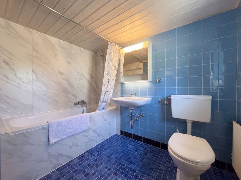 Maison à vendre à Rovray - 3 logements, 300 m2 habitable env. (10)