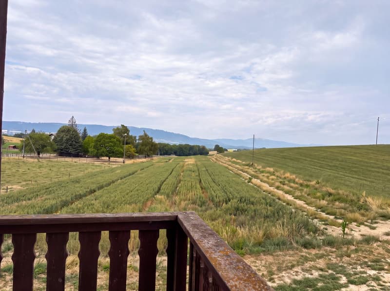 Maison à vendre à Grancy -  8.5 pièces, 360 m2 , en bordure de zone agricole. (9)