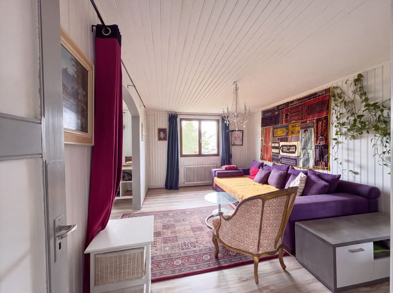Maison à vendre à Grancy -  8.5 pièces, 360 m2 , en bordure de zone agricole. (13)