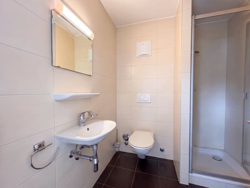 Appartement à vendre à Lausanne - attique de 4,5 pièces, 127 m², grand balcon (13)