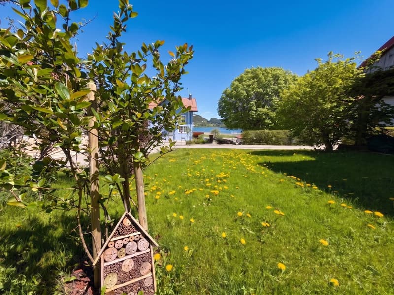 Jardin avec petite échappée sur le lac