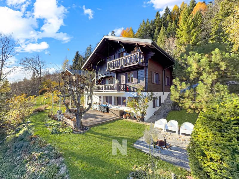 Chalet à vendre à Leysin - 7 pièces, 175 m2 avec sauna (2)