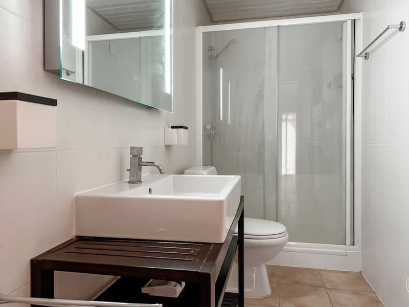 Maison à vendre à Forel - Parcelle exceptionnelle de 1'963 m² (13)