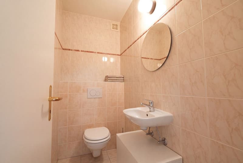 Charmant appartement à Ecublens -  3,5 pièces de 93 m2 avec un balcon (9)