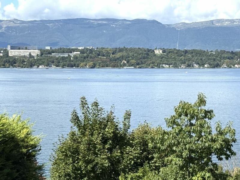 Appartement d'exception à Cologny - Vue panoramique sur le lac Léman / Appartement 10 pièces (4)