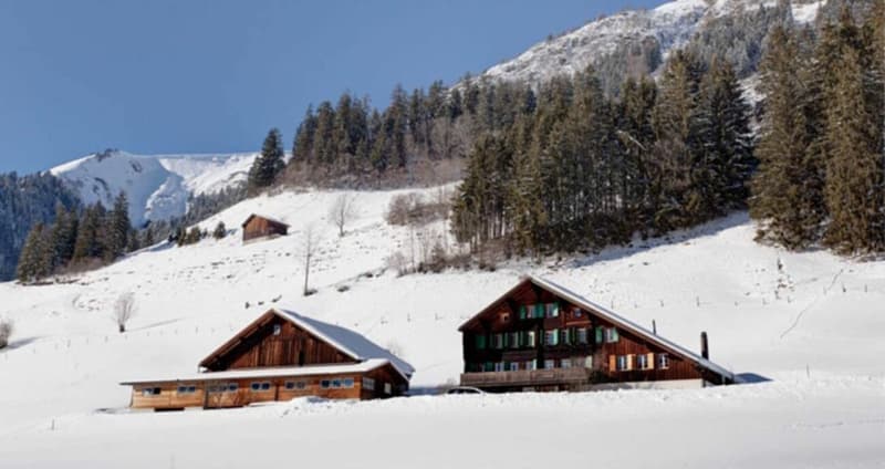 Chalet - 8 pièces à Château-d'Oex (2)