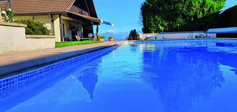 Villa individuelle 9 pièces à Sauverny (5)