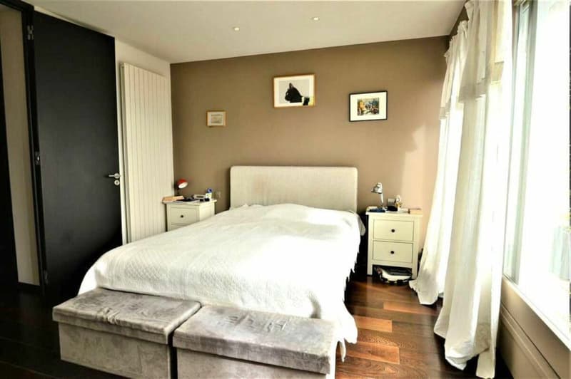 Attique 8 pièces à Genève (10)