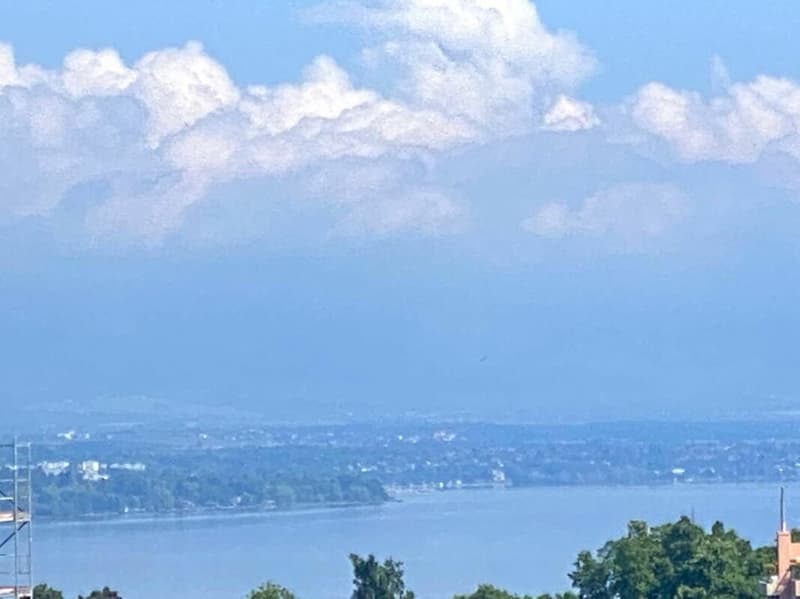 Attique 8 pièces à Genève (9)