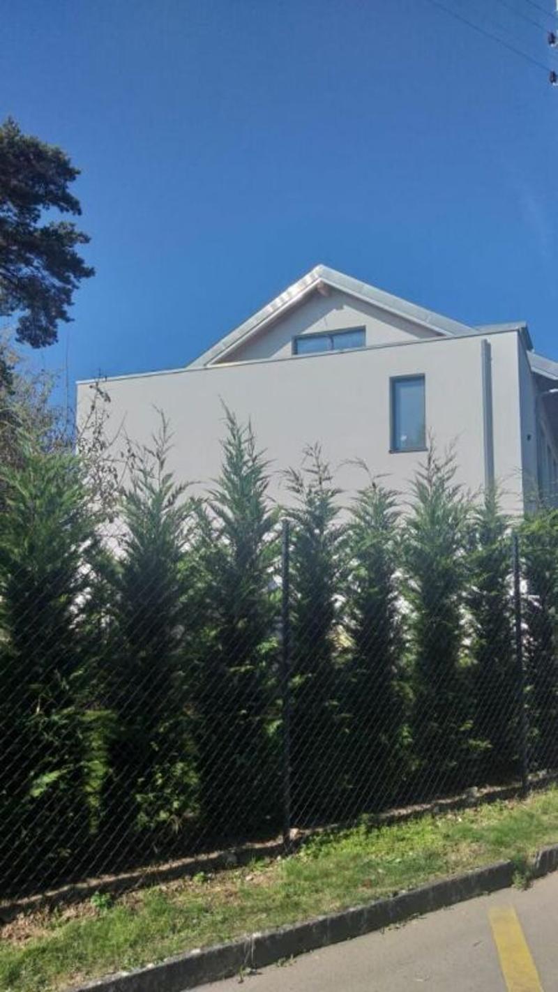 Villa individuelle 11 pièces à Tannay (7)