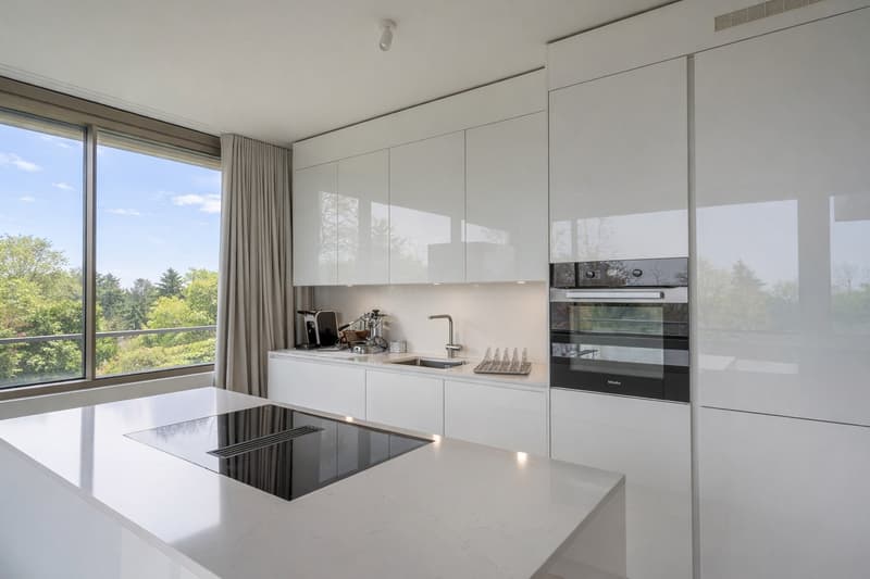 Modern kitchen, white cabinetry, marble countertop, induction stove, dishwasher, large windows with view