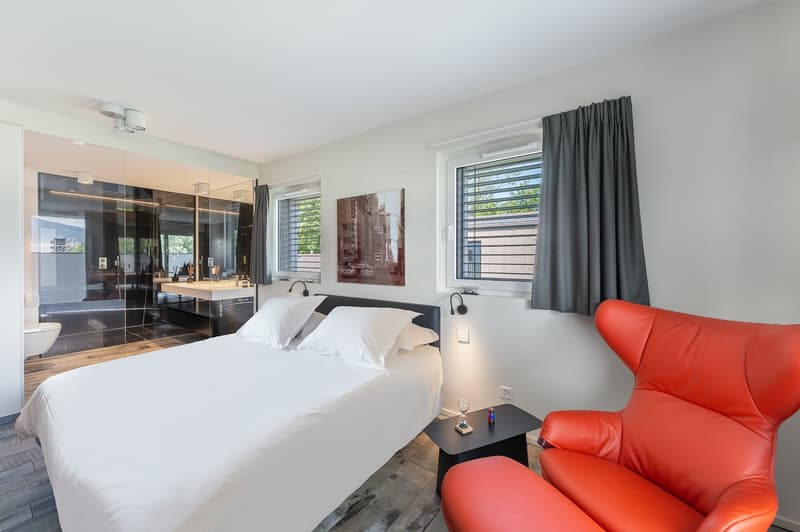 CONCHES - Magnifique appartement avec terrasse (23)