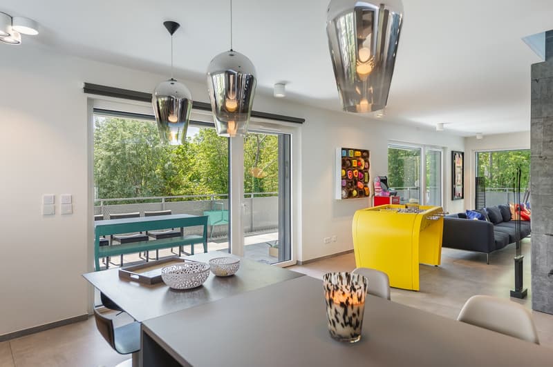 CONCHES - Magnifique appartement avec terrasse (11)