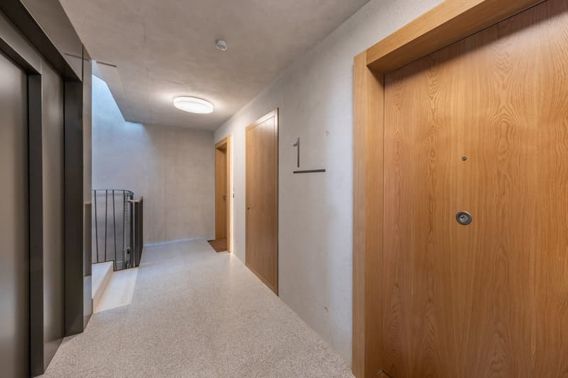 VANDOEUVRES - Magnifique appartement neuf (16)