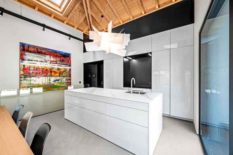 EXCLUSIVITÉ:  COLLONGE BELLERIVE - Magnifique Villa individuelle avec jardin (10)