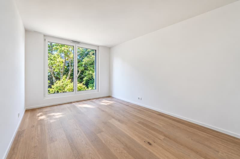 DISPONIBLE DE SUITE - VESENAZ - Villa d'architecte neuve (15)