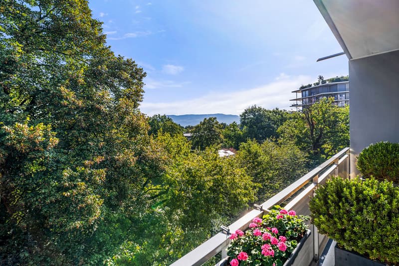 COLOGNY - Magnifique appartement dernier étage (15)