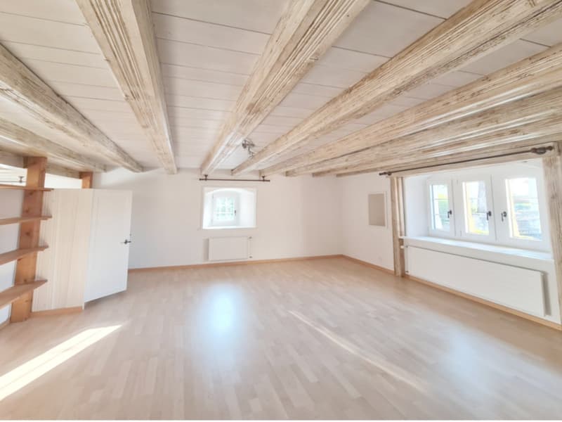 Appartement de 2 pièces situé à concise à environ 5 minutes à pieds du bord du lac et de la gare. (1)
