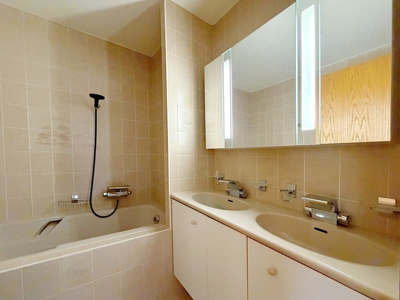 Bel appartement de 3 pièces situé dans petit immeuble en PPE (7)