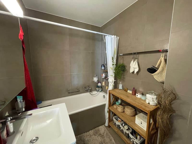 Grand appartement de 2.5 pièces à Pailly (6)