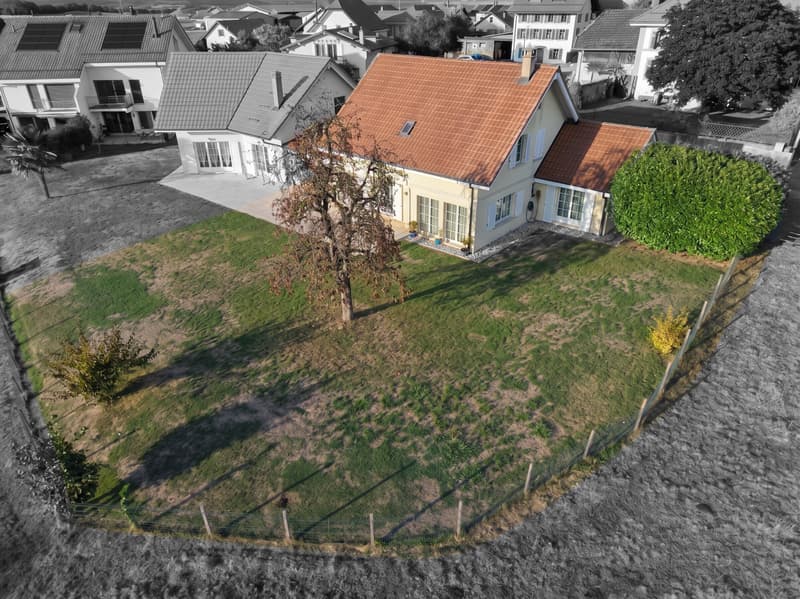 Suchy 0001.jpg