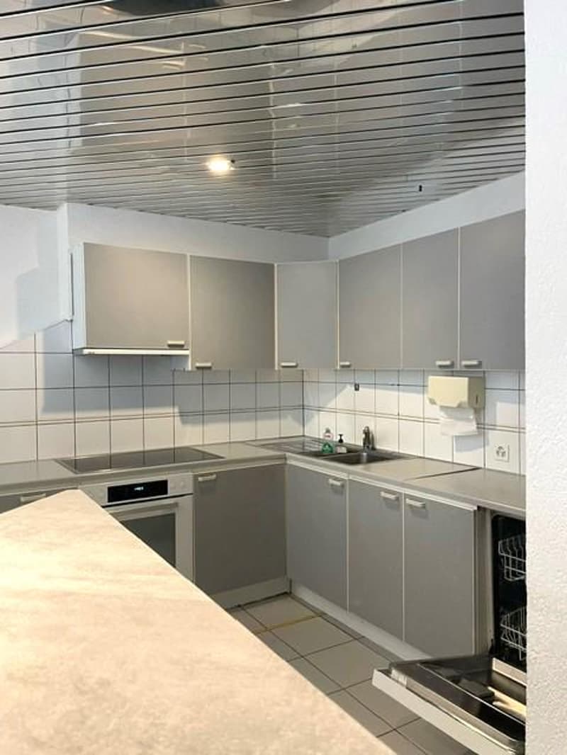 Espaces de formation, locaux commerciaux, bureaux (7)