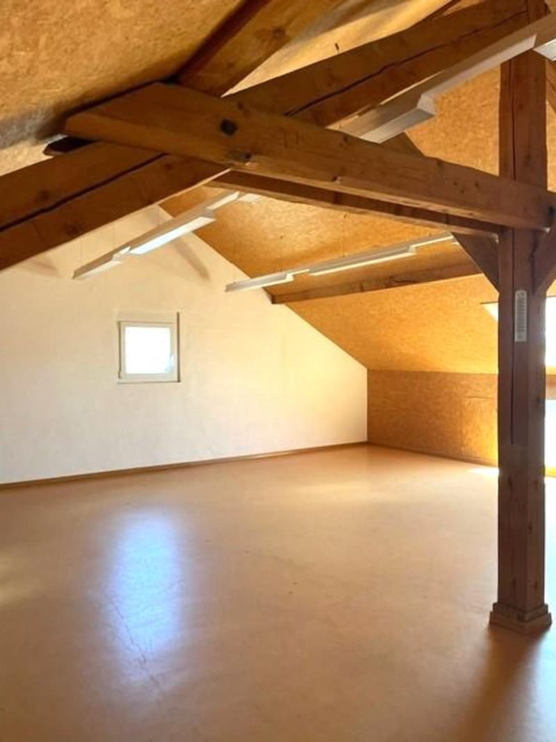 Espaces de formation, locaux commerciaux, bureaux (10)