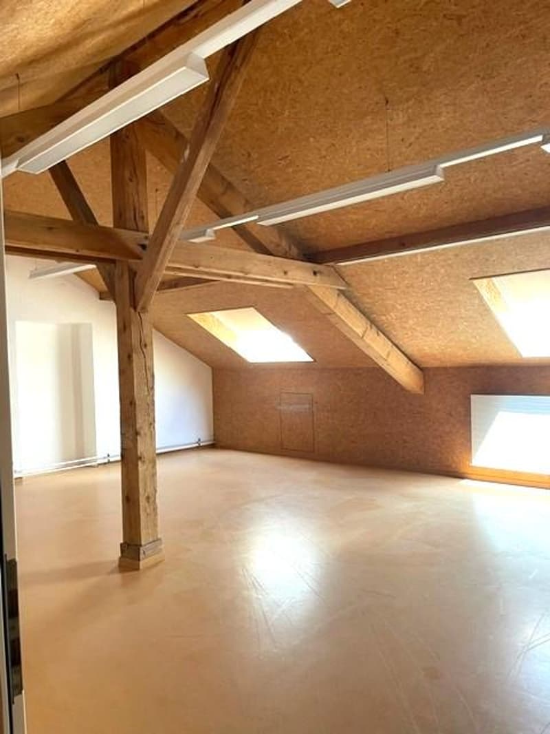 Espaces de formation, locaux commerciaux, bureaux (9)