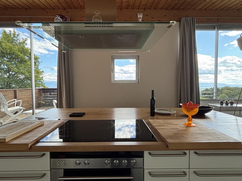 Charmante villa jumelle meublée avec vue sur le lac et les Alpes (7)