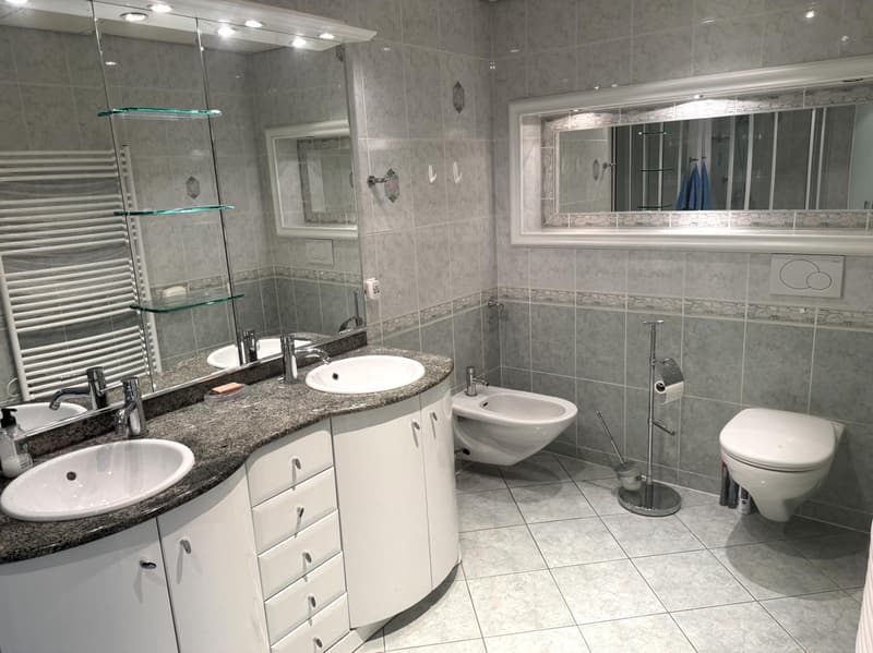 Bel appartement duplex de 4.5 pièces en attique (7)