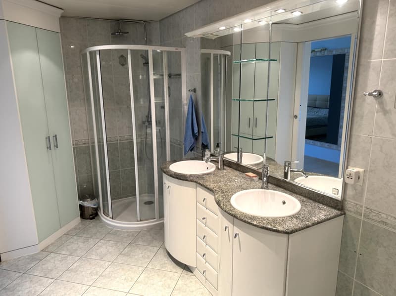 Bel appartement duplex de 4.5 pièces en attique (8)