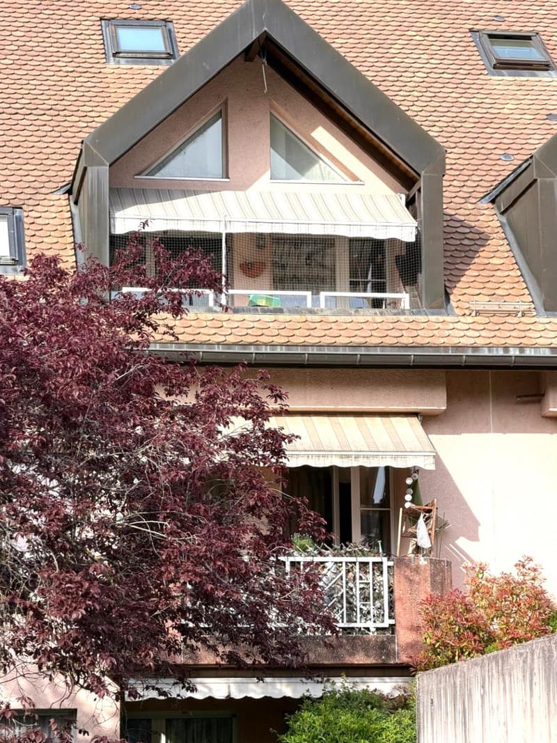 Appartement de 3.5 pièces avec balcon, à rénover (3)