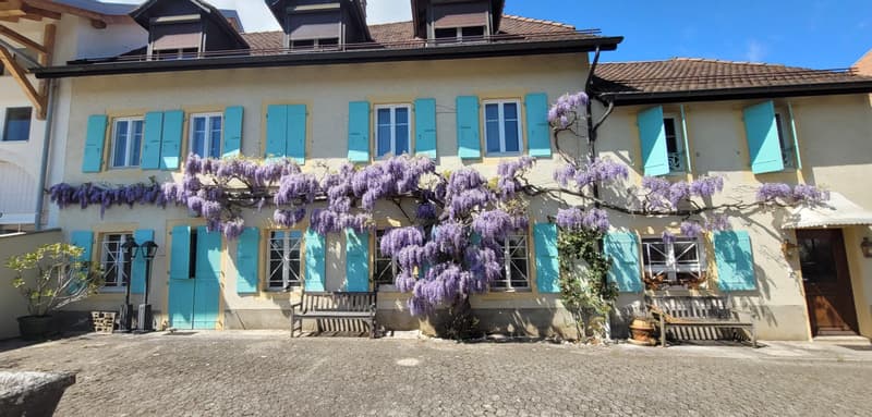 Maison de village pleine de charme avec cachet unique (2)