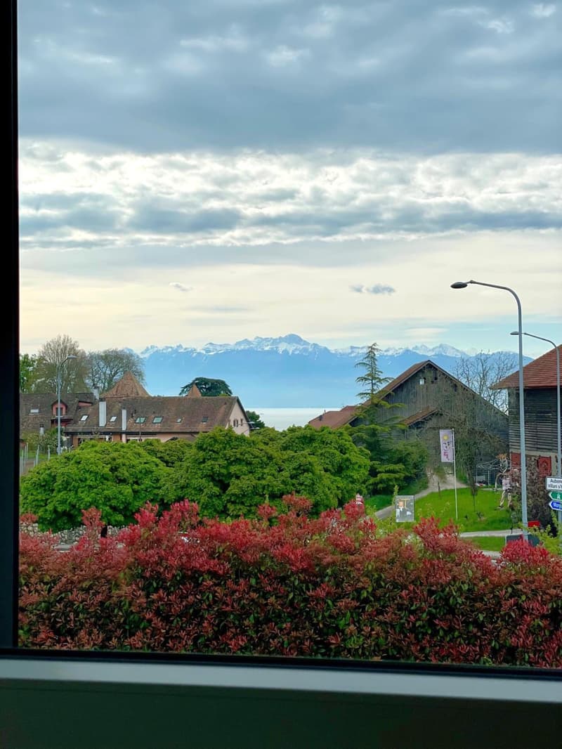 Charmante villa mitoyenne de 4.5 pièces (2)