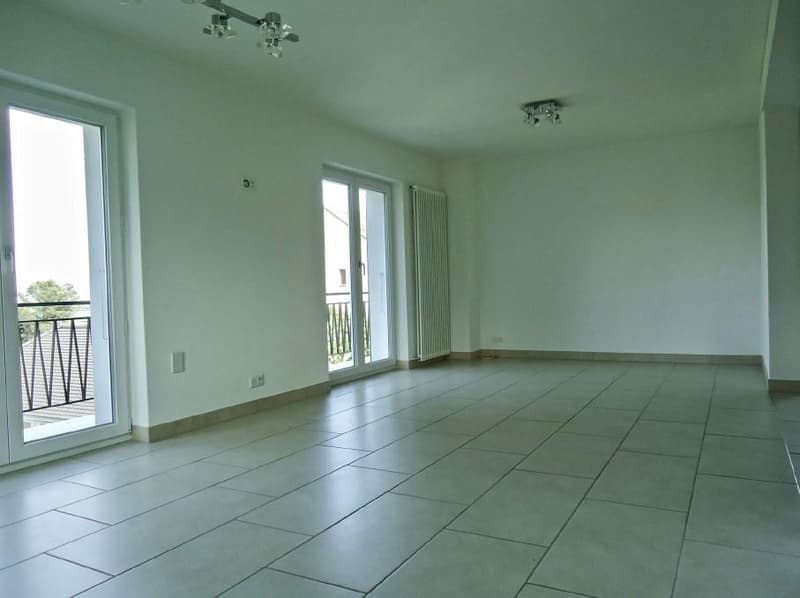 Belle maison mitoyenne de 5.5 pièces (4)