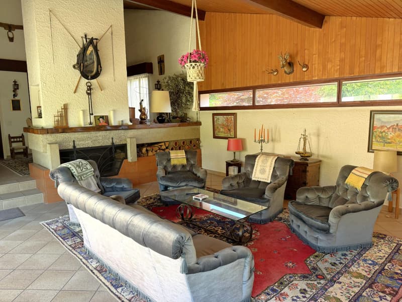 Villa individuelle avec piscine, à rénover (4)