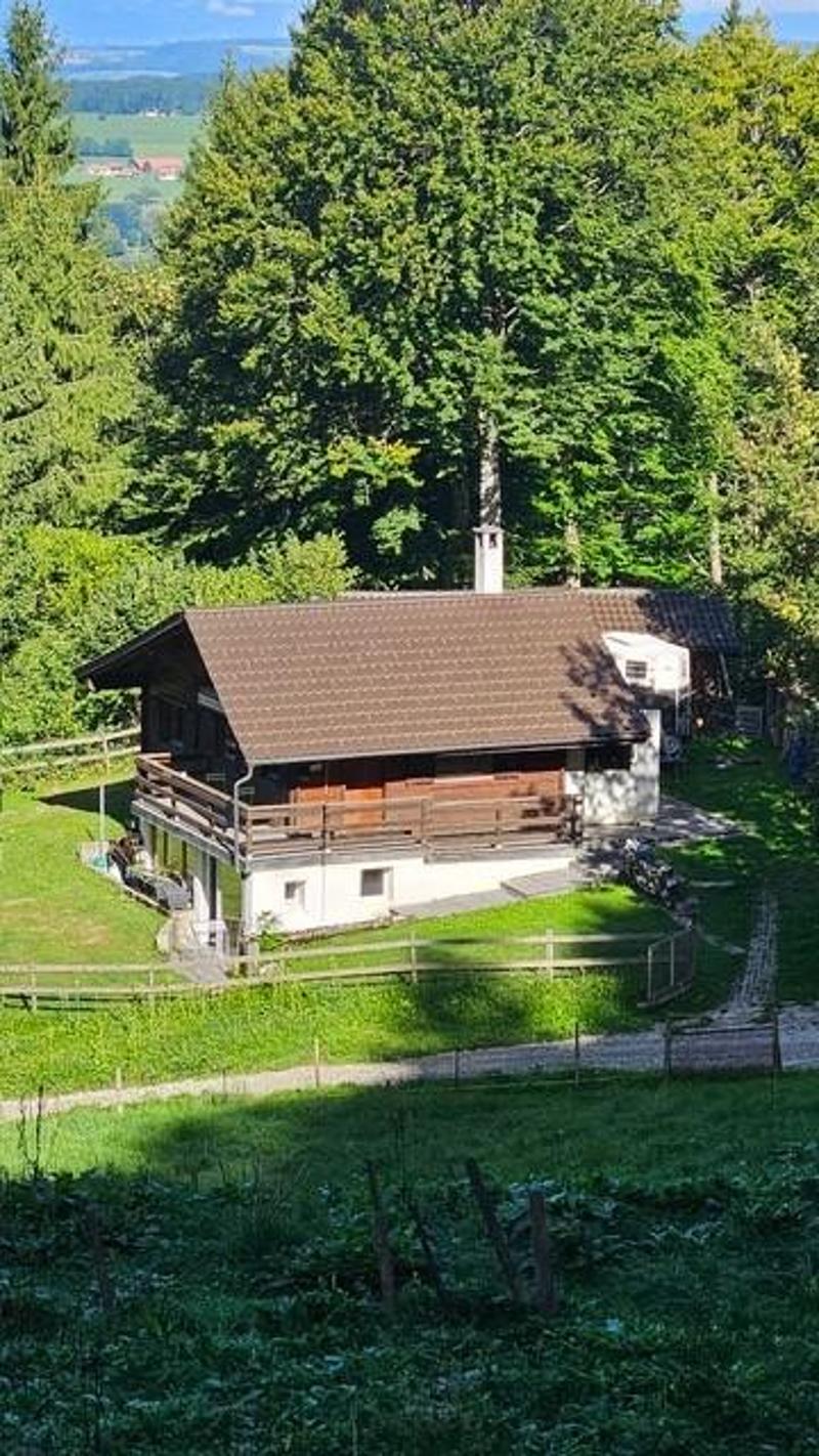 Charmant chalet de 3.5 pièces (3)