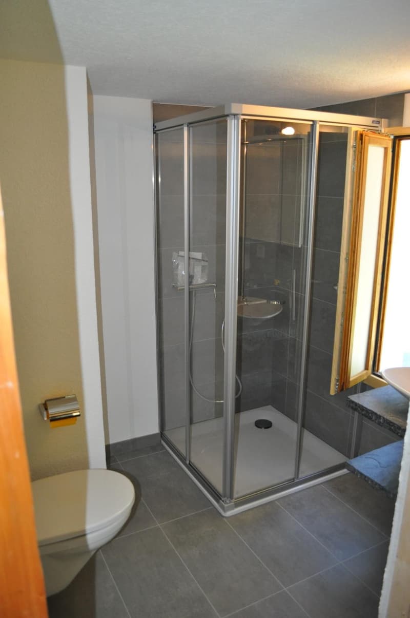 Charmant chalet de 3.5 pièces (8)