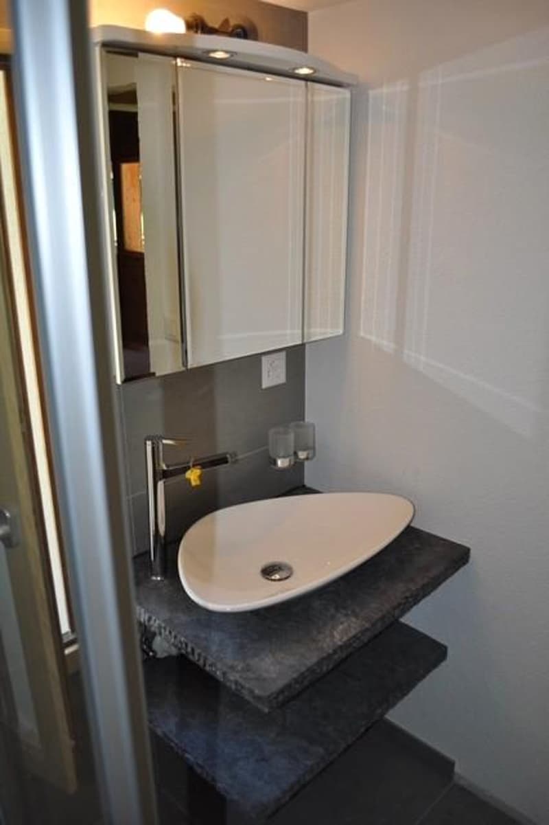 Charmant chalet de 3.5 pièces (9)