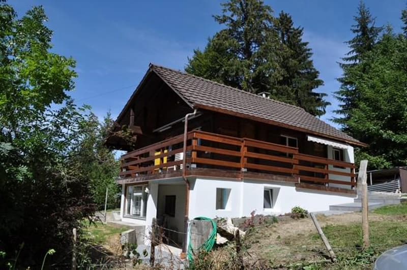 Charmant chalet de 3.5 pièces (2)